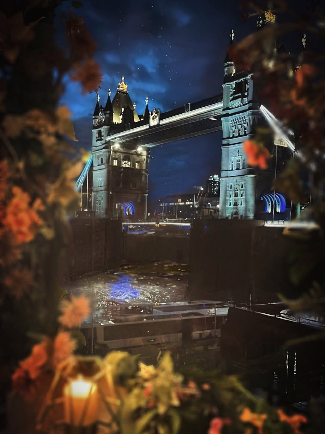 Post 5 by Nataliya 🇬🇧🇺🇦 on Instagram (image)