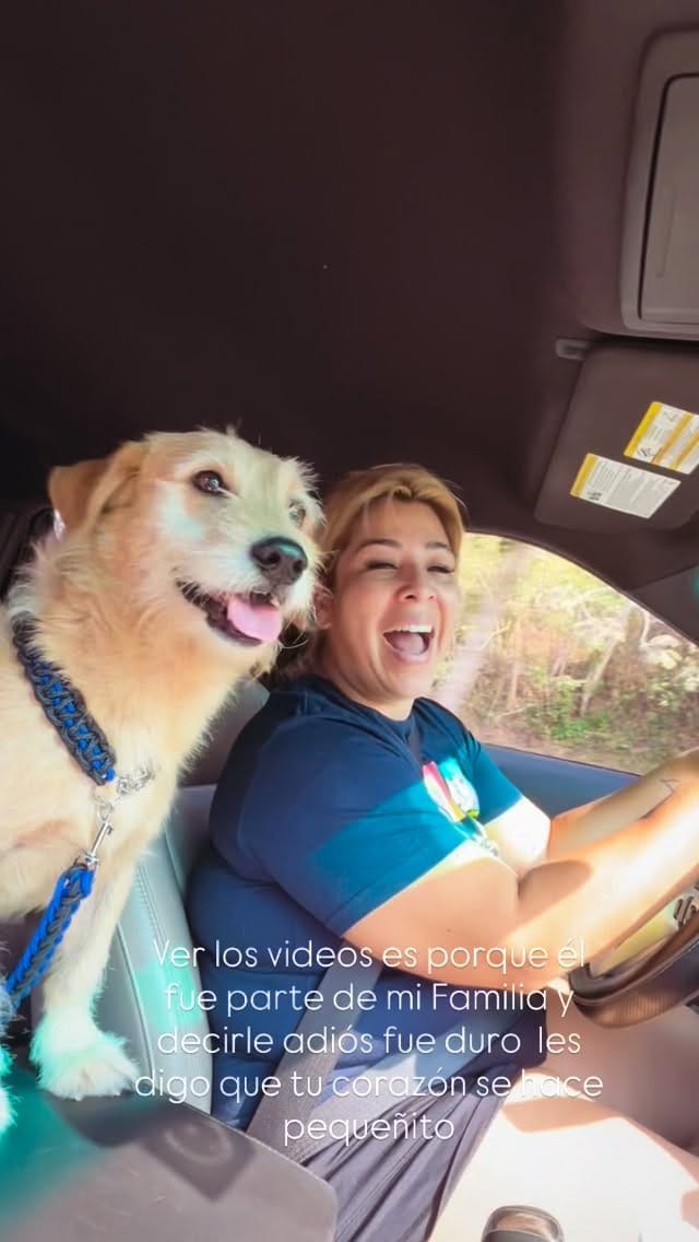 Post 4 by Linda Guillen on Instagram (video)