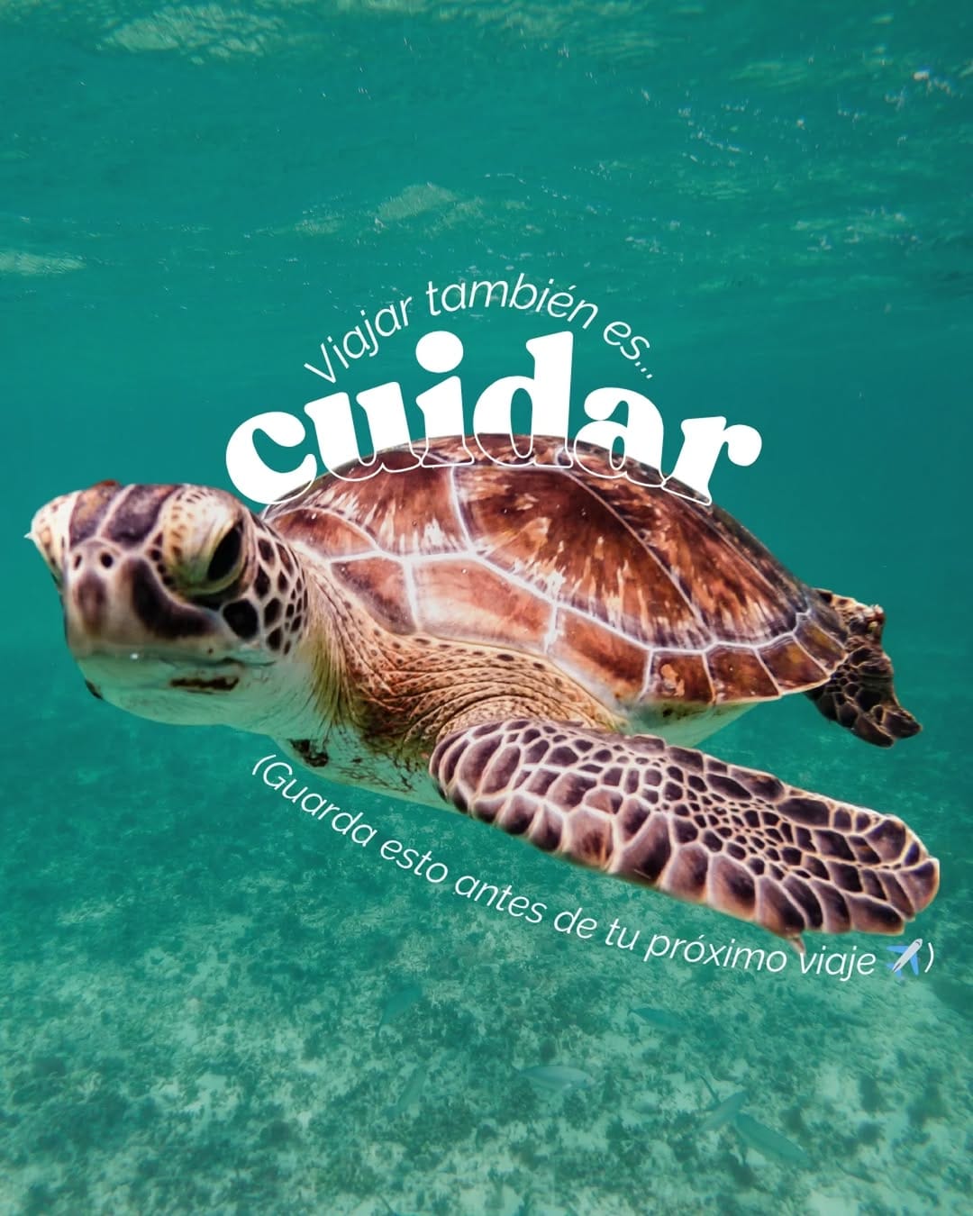 Post 3 by Laura Salamanca | Social travel on Instagram (carousel)