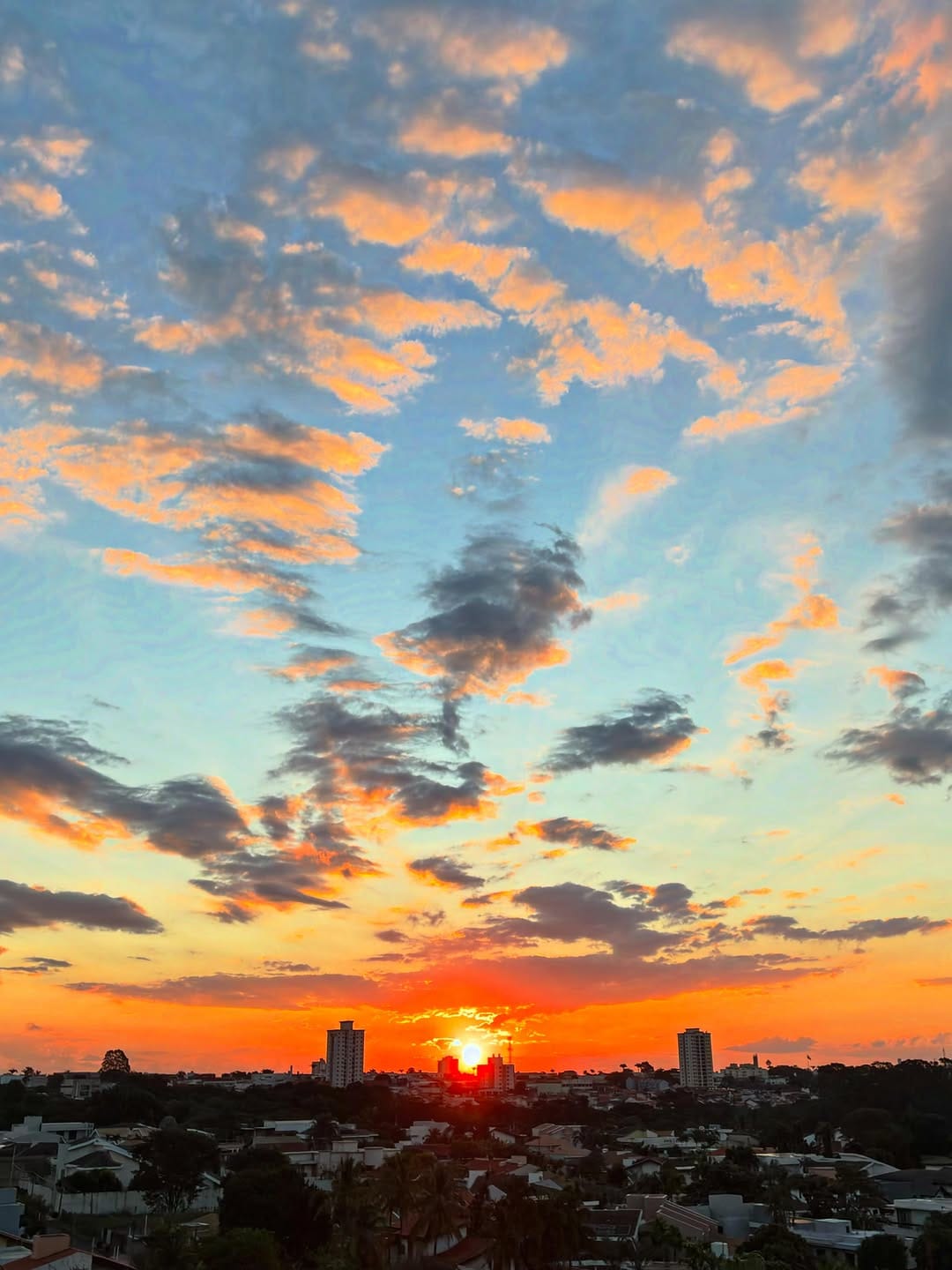 Post 2 by Rodrigo Aquino on Instagram (image)