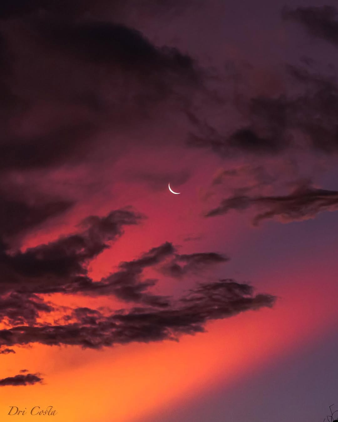 Post 10 by Dri Costa on Instagram (image)