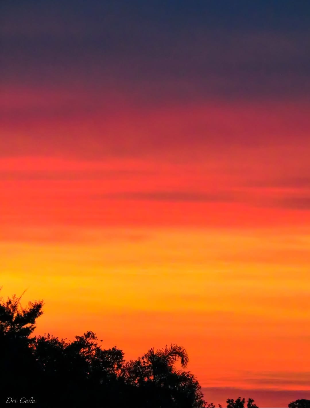 Post 7 by Dri Costa on Instagram (image)