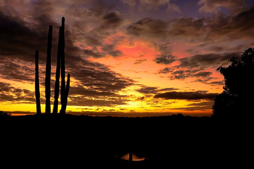 Post 5 by Dri Costa on Instagram (image)