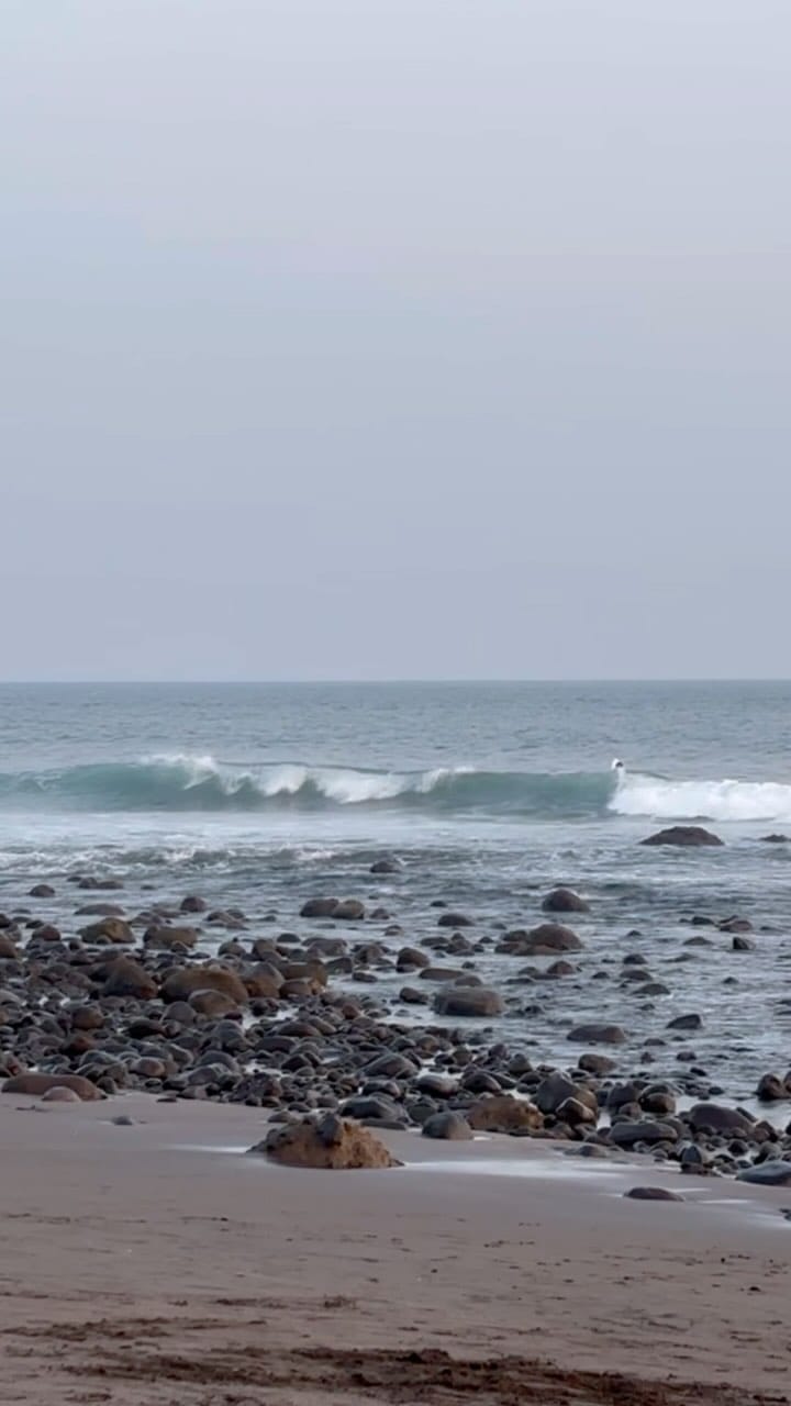Post 8 by BRUNA FARIA on Instagram (video)