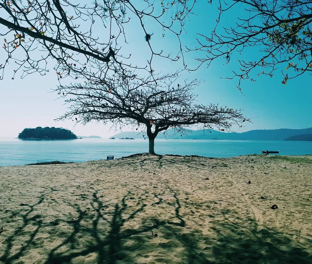 Post 8 by Viviclicks on Instagram (image)