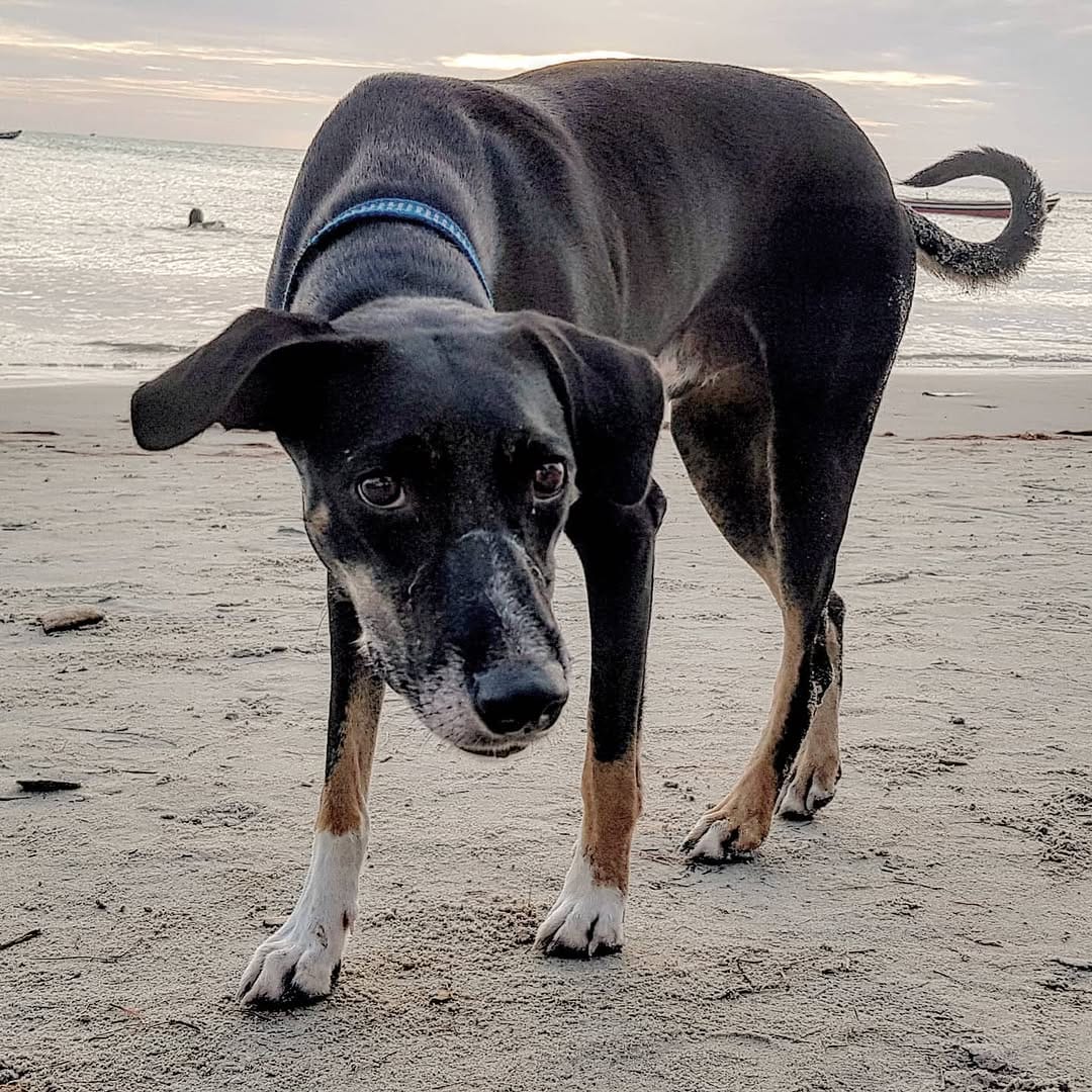 Post 10 by Viviclicks on Instagram (image)