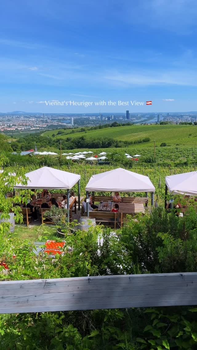 Post 1 by Natalie | Explore Vienna on Instagram (video)