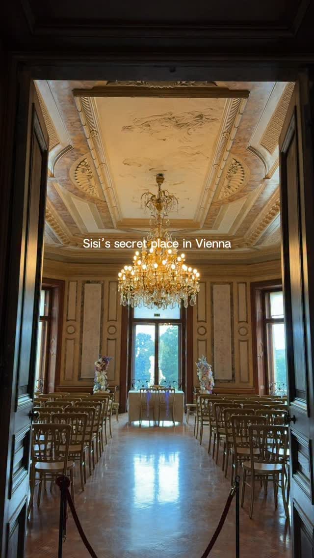 Post 6 by Natalie | Explore Vienna on Instagram (video)