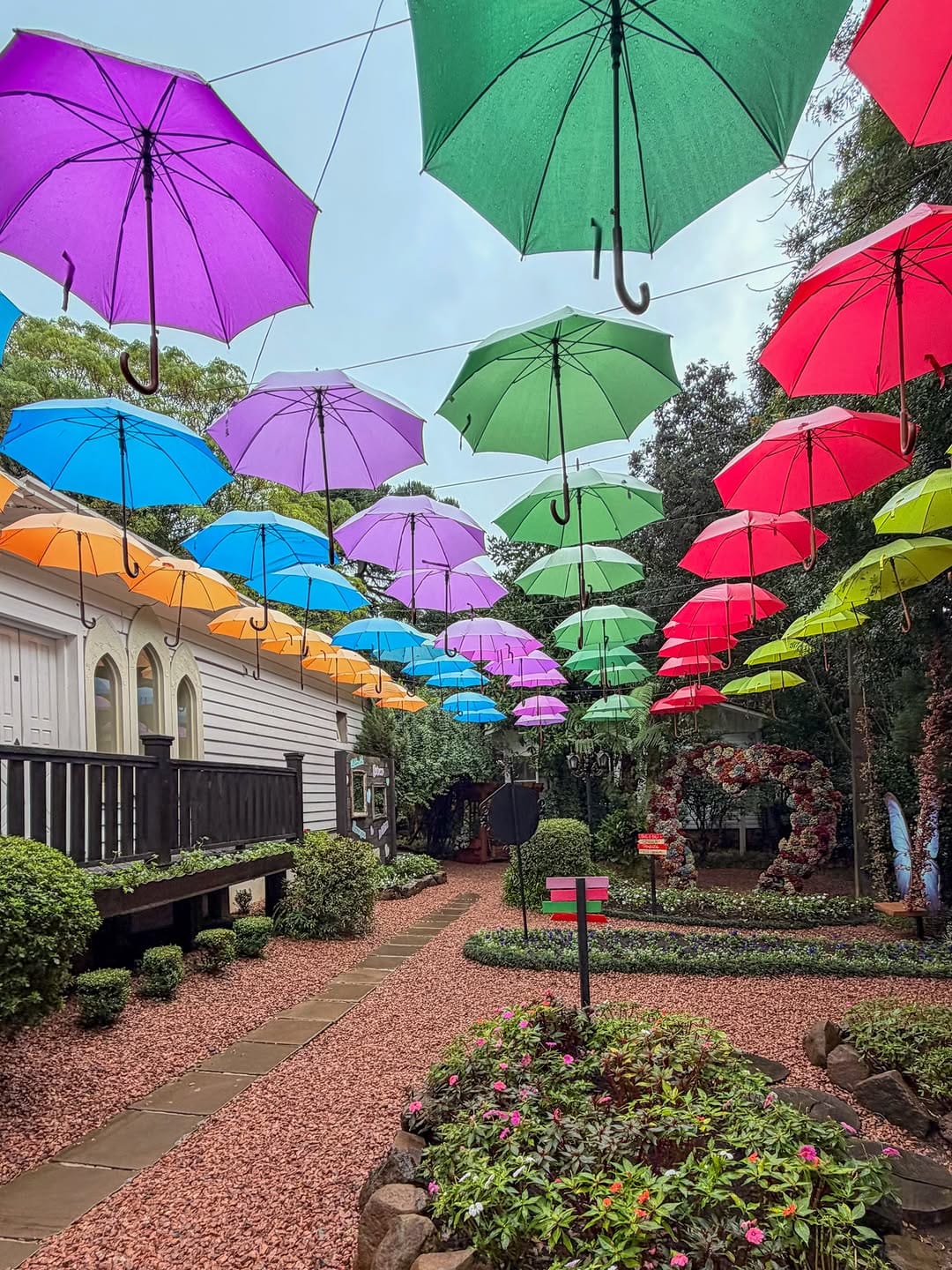 Post 7 by Rodrigo Soldon * Fotógrafo * photographer * on Instagram (carousel)