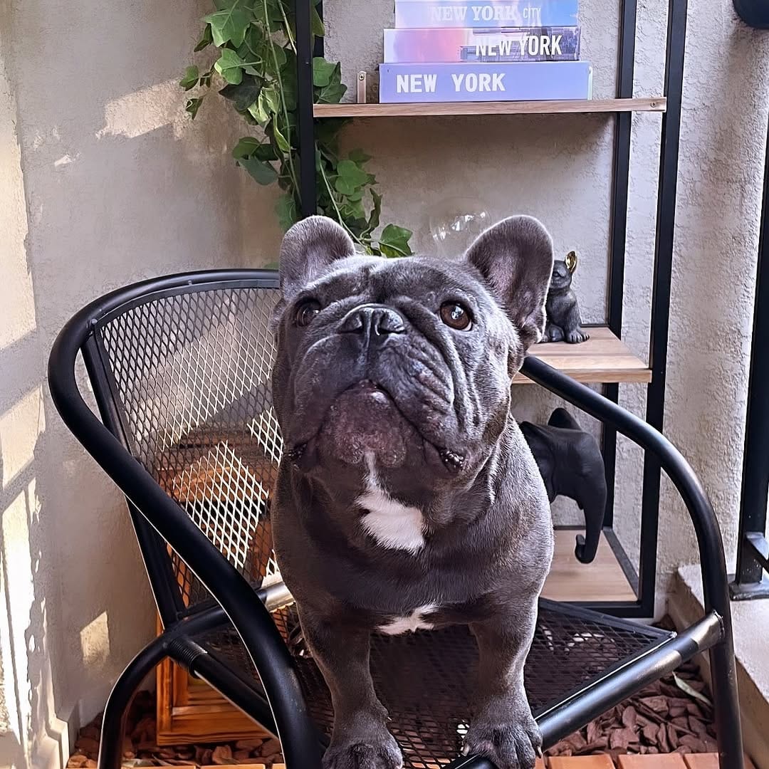 Post 5 by W I L L on Instagram (image)