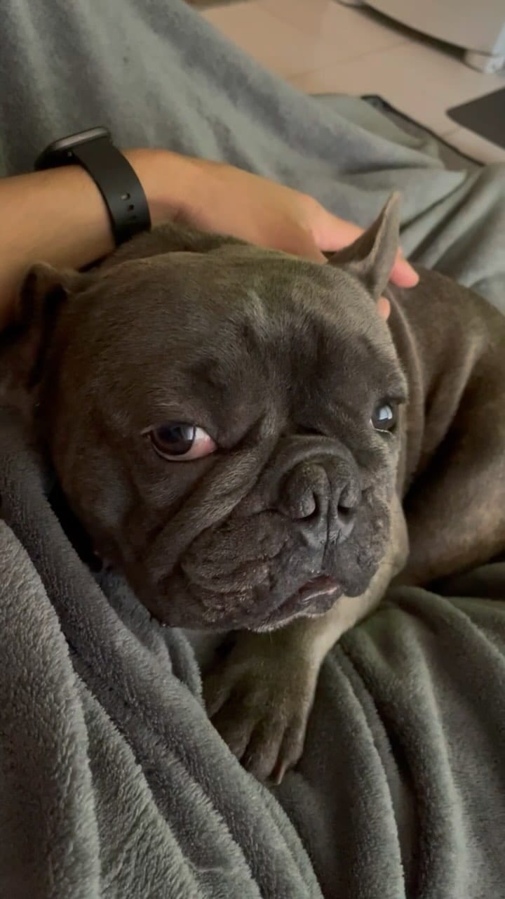 Post 6 by W I L L on Instagram (video)