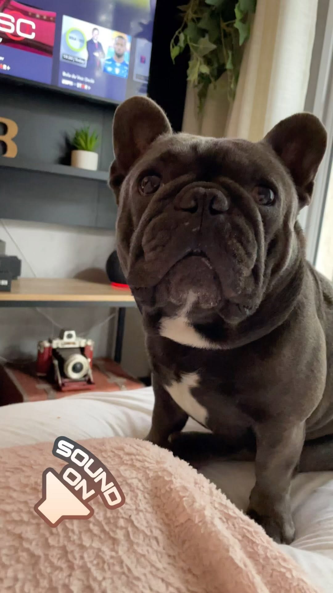 Post 7 by W I L L on Instagram (video)
