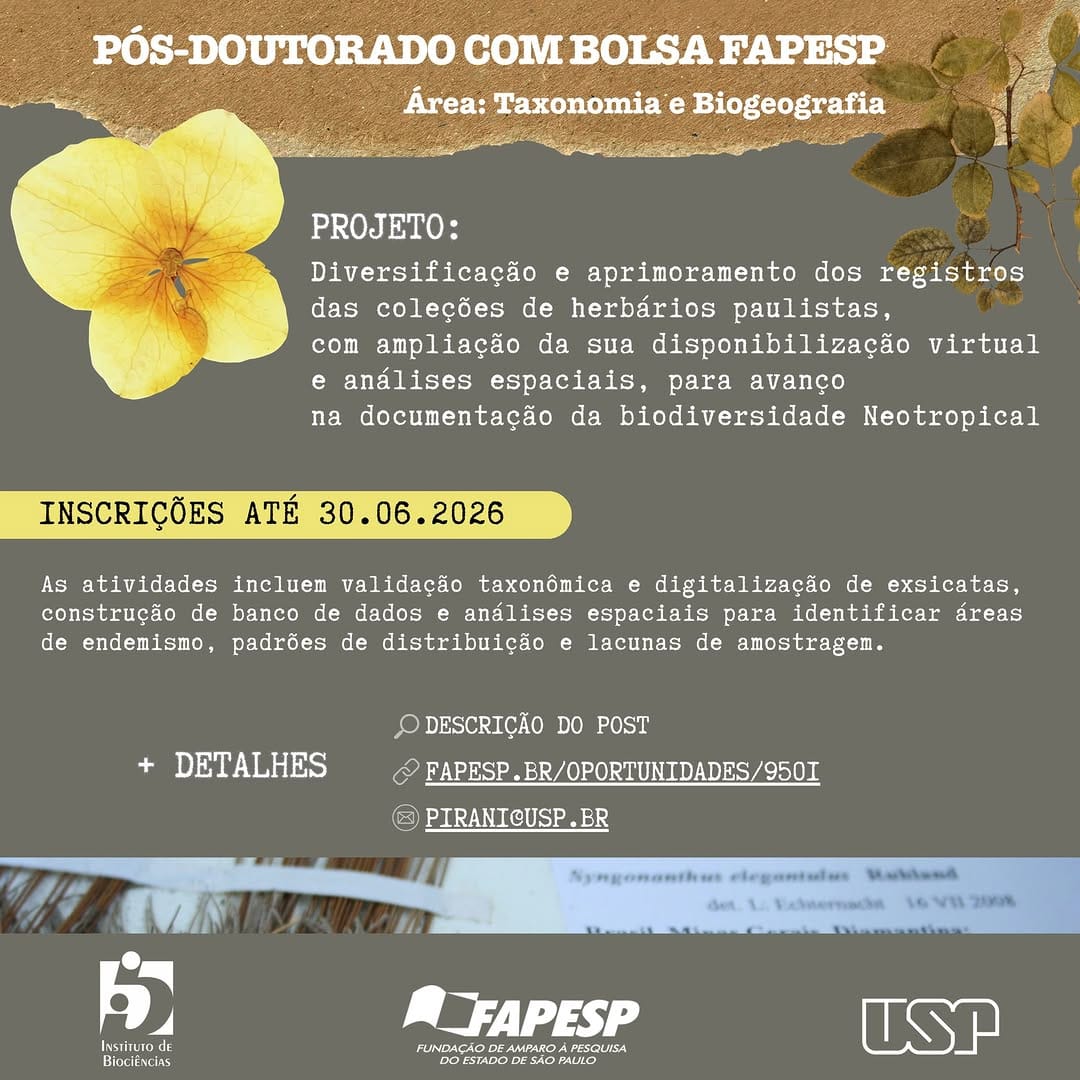 Post 3 by IB USP on Instagram (image)