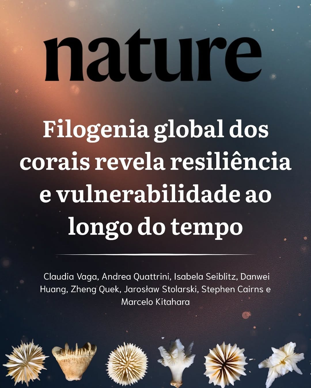 Post 10 by Centro de Biologia Marinha on Instagram (carousel)
