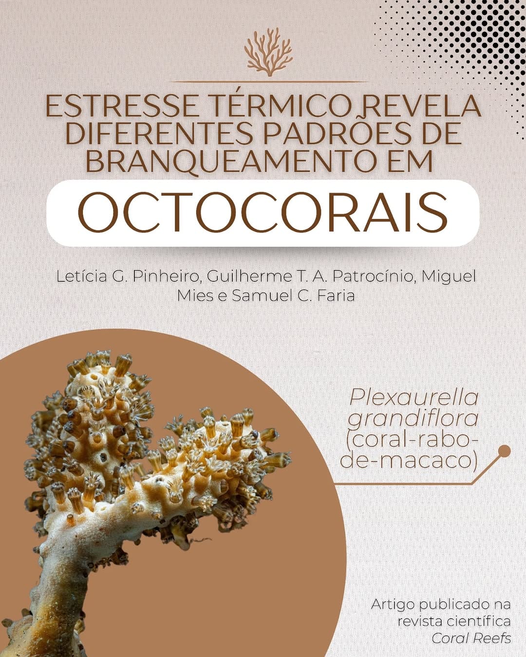 Post 8 by Centro de Biologia Marinha on Instagram (carousel)