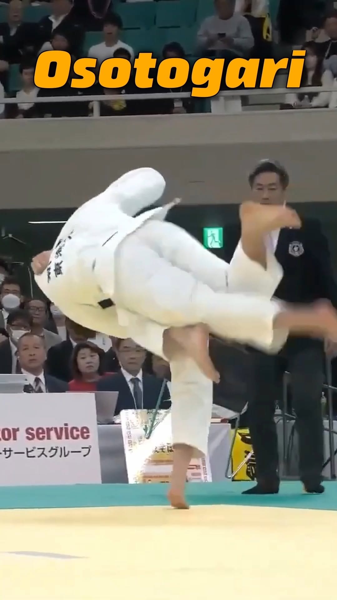 Post 7 by Whangarei BJJ on Instagram (video)