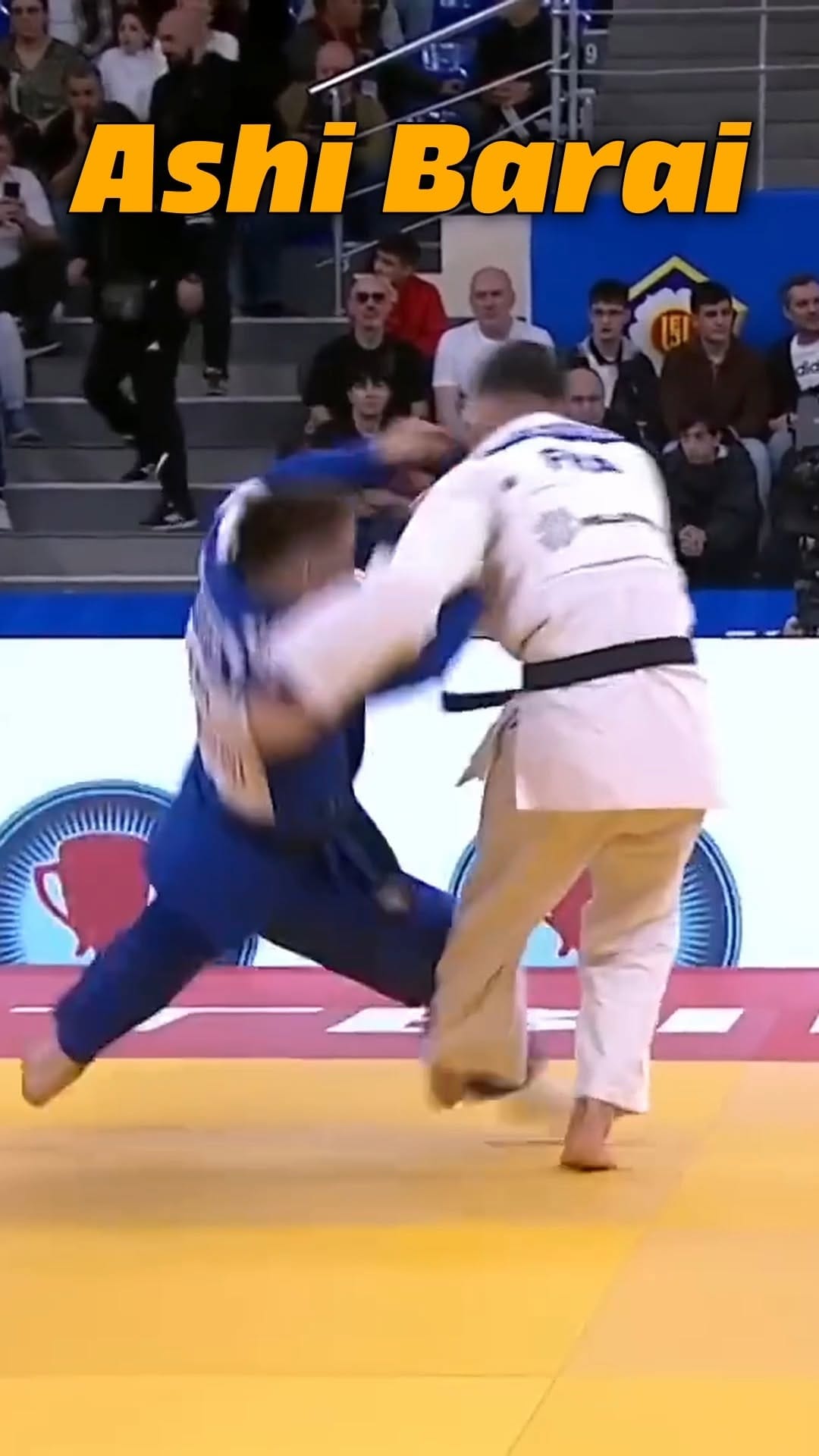 Post 6 by Whangarei BJJ on Instagram (video)