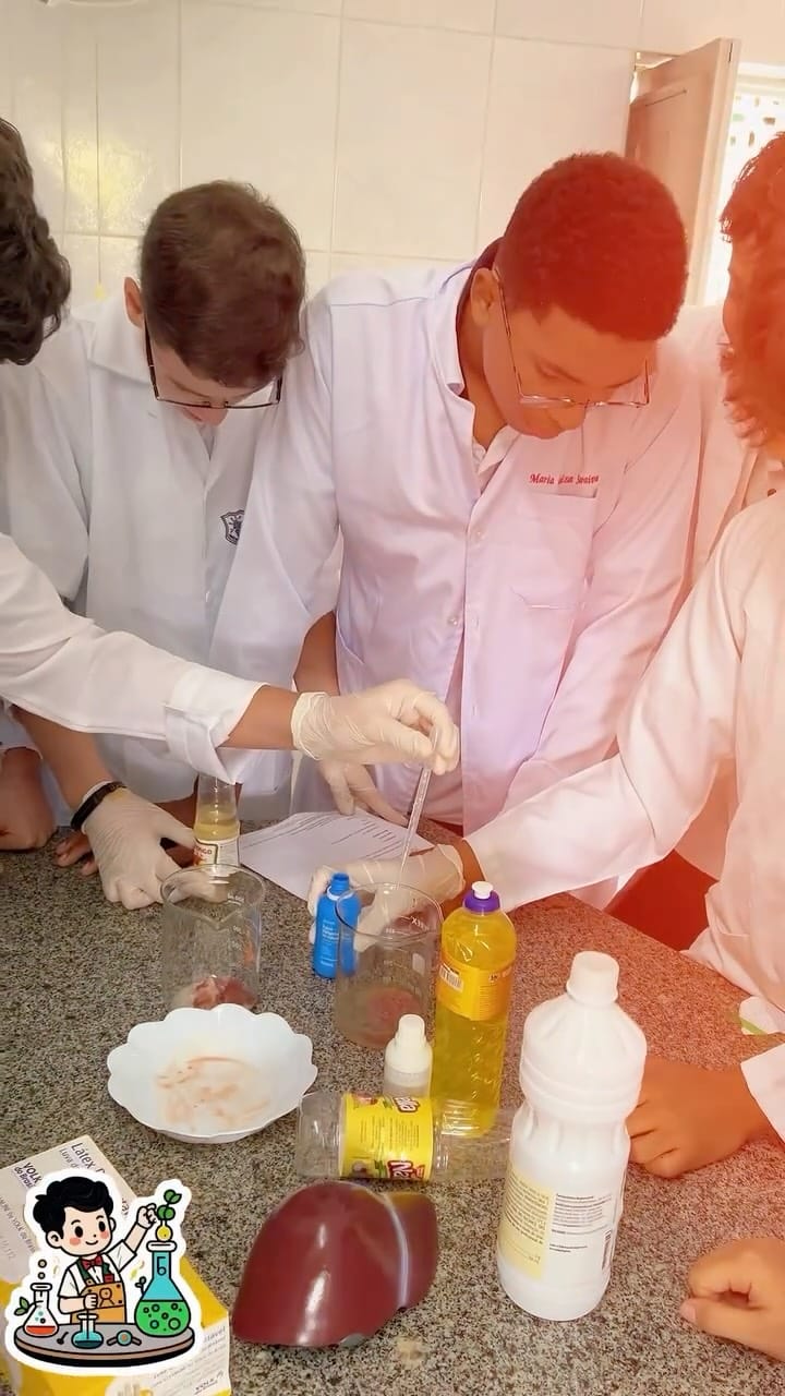 Post 4 by Colégio Nossa Senhora da Graça | Vitória de Santo Antão on Instagram (video)
