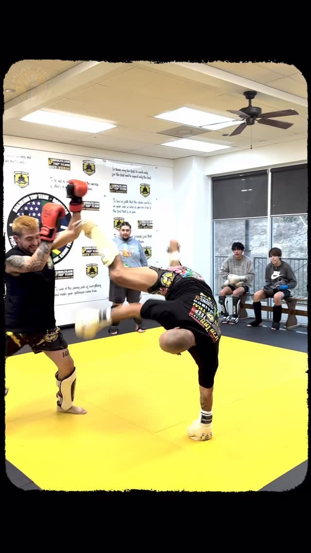 Post 7 by Brazilian Top Team | Jiu Jitsu Dominion on Instagram (video)