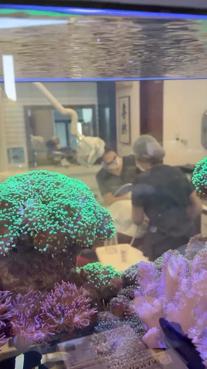 Post 4 by Sidney Kina on Instagram (video)