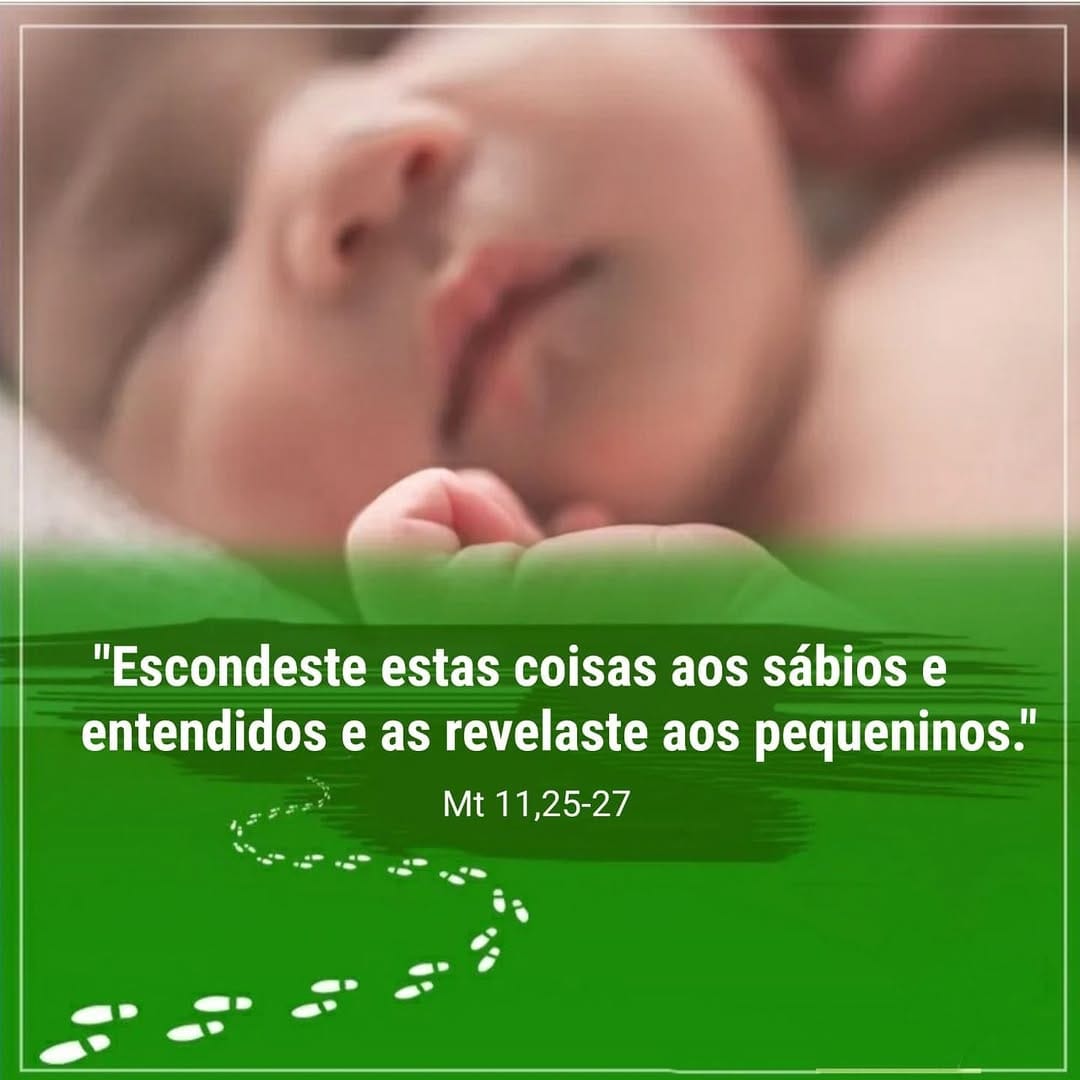 Post 9 by Celi Cavaleiro De Macedo Lima D'albuquerque on Instagram (image)