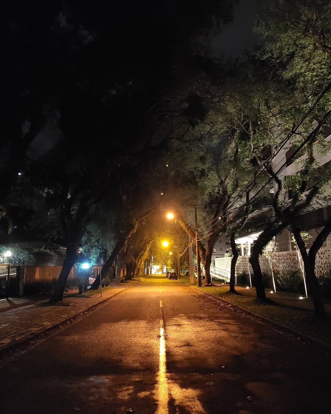 Post 8 by Alexandre Meirelles on Instagram (image)
