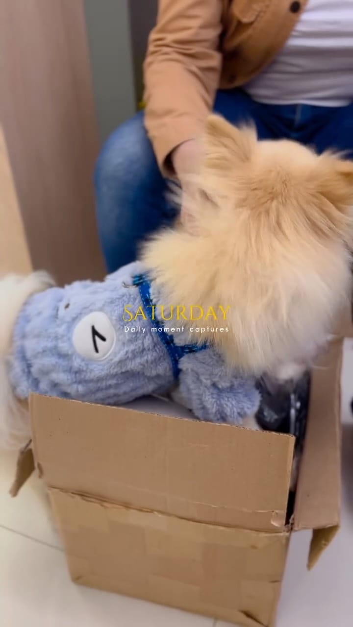 Post 2 by Magia Store | Moda Infantil on Instagram (video)