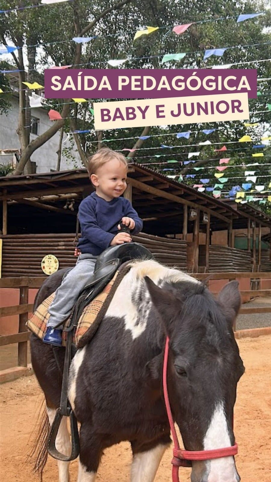 Post 3 by Senses Montessori School | Educação Infantil on Instagram (video)