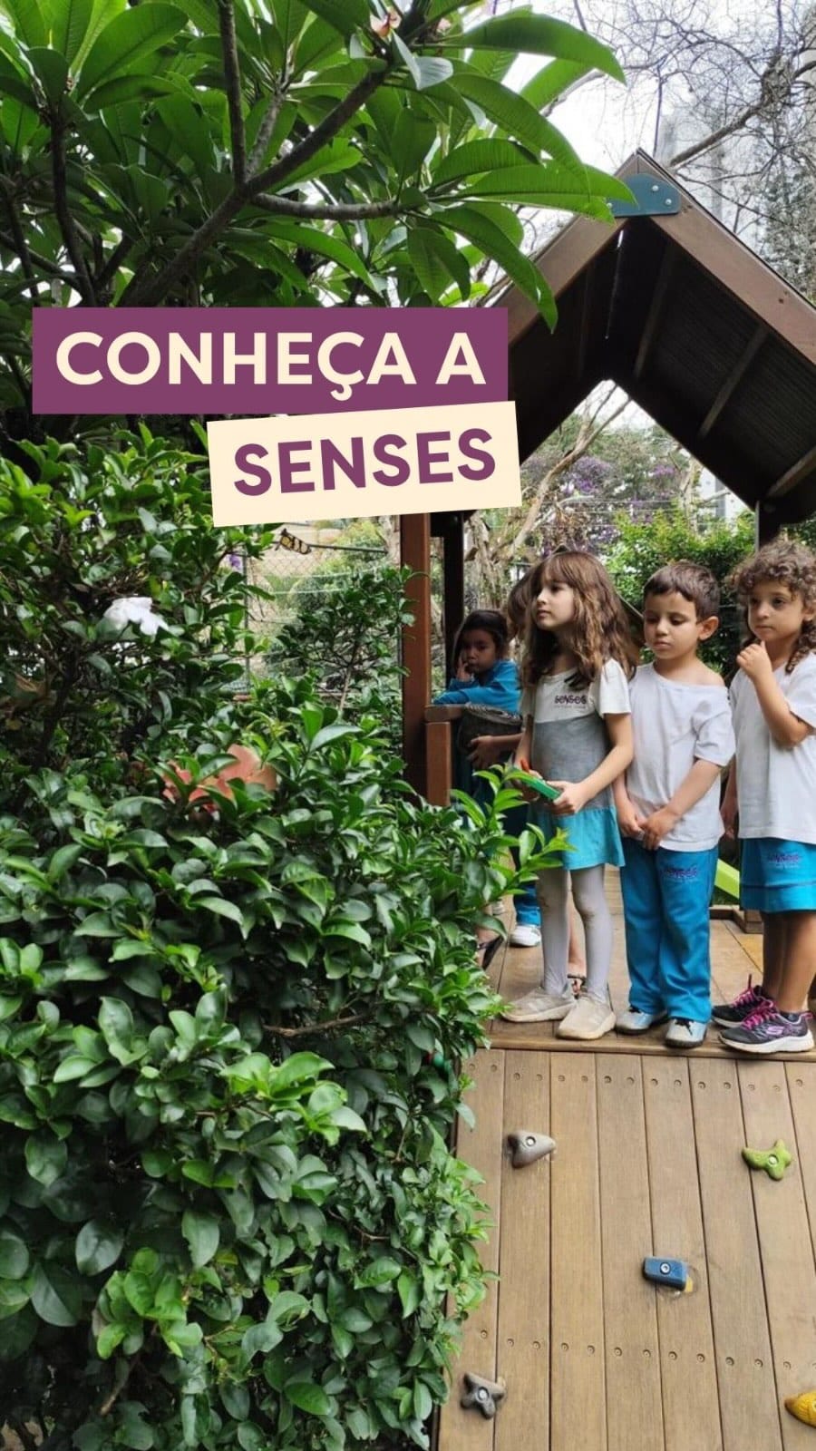 Post 10 by Senses Montessori School | Educação Infantil on Instagram (video)