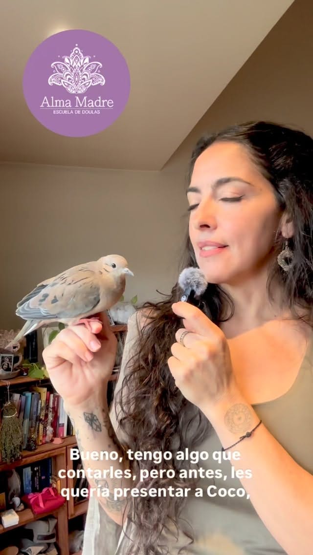 Post 1 by Wadi Covas on Instagram (video)