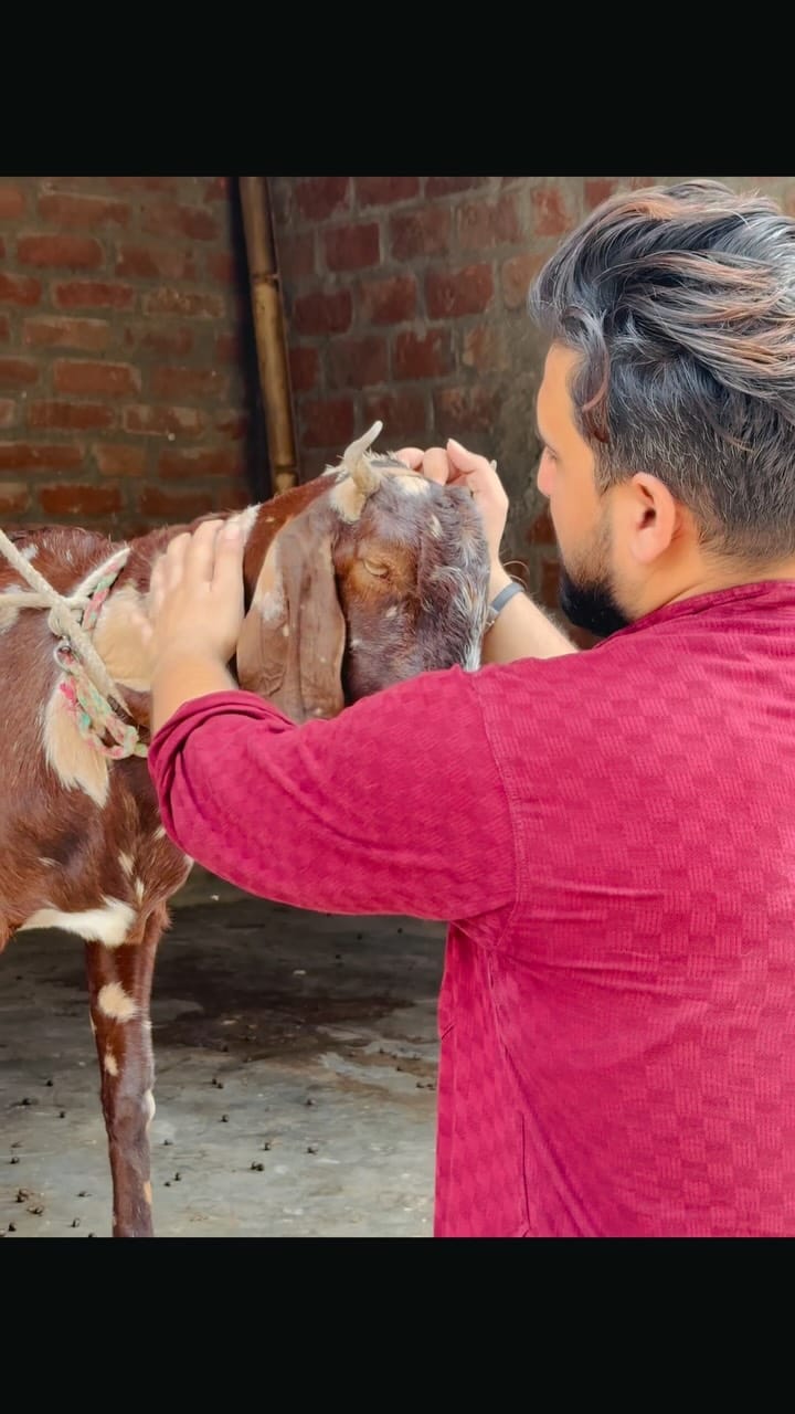 Post 5 by Nabeel Hasan on Instagram (video)