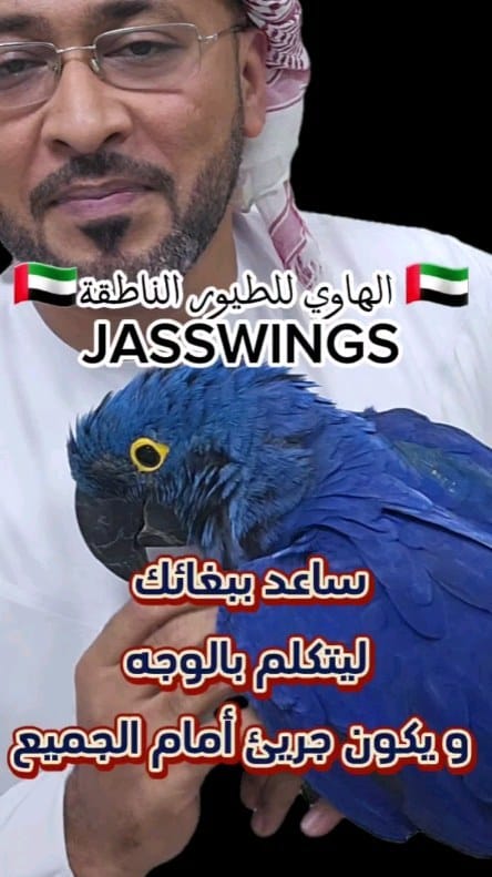 Post 9 by Parrot Care | Bird Specialist UAE on Instagram (video)