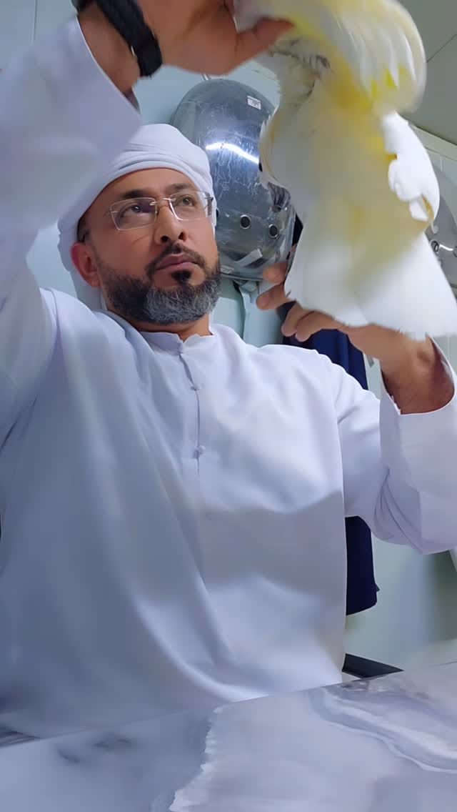 Post 1 by Parrot Care | Bird Specialist UAE on Instagram (video)