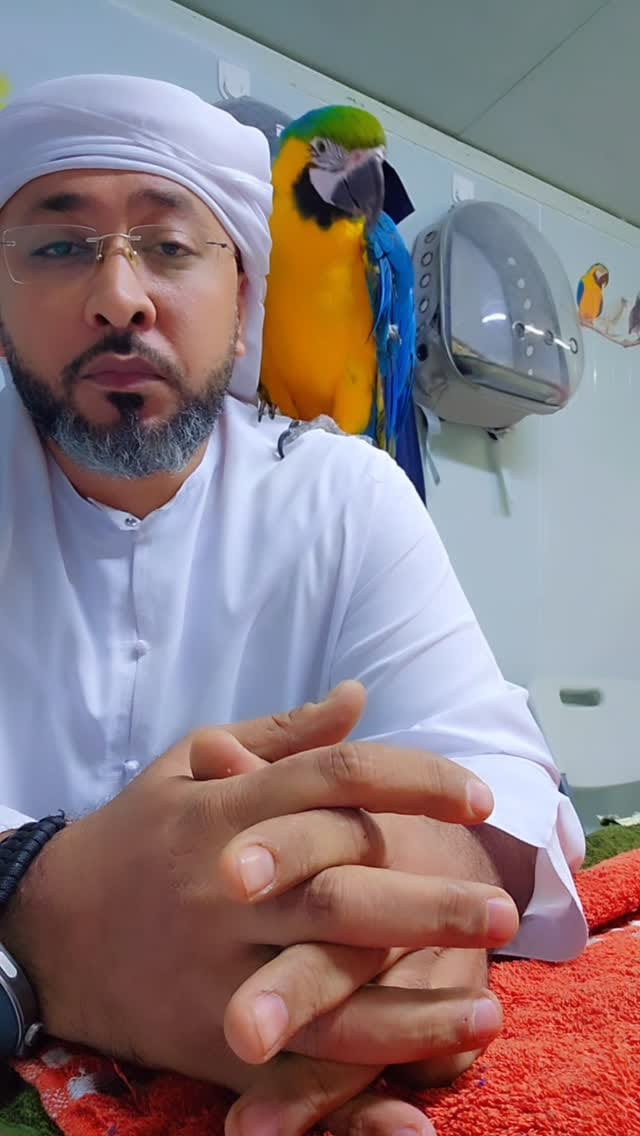 Post 2 by Parrot Care | Bird Specialist UAE on Instagram (video)