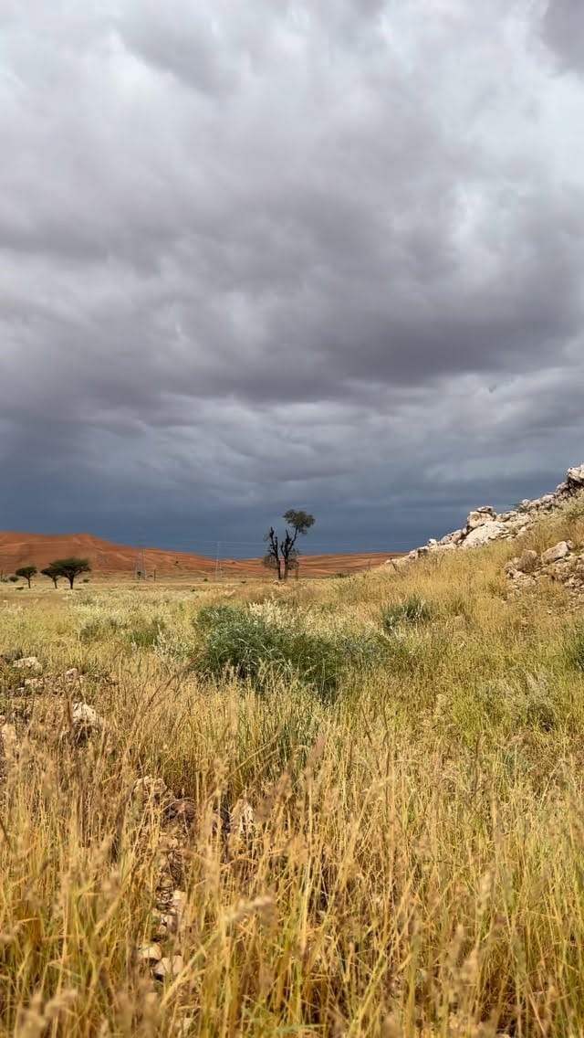Post 7 by Abdolrahman Al hashemi on Instagram (video)