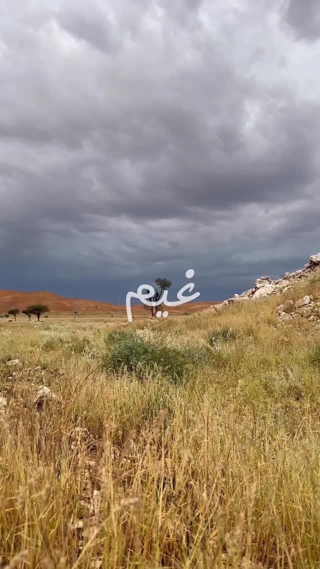 Post 6 by Abdolrahman Al hashemi on Instagram (video)