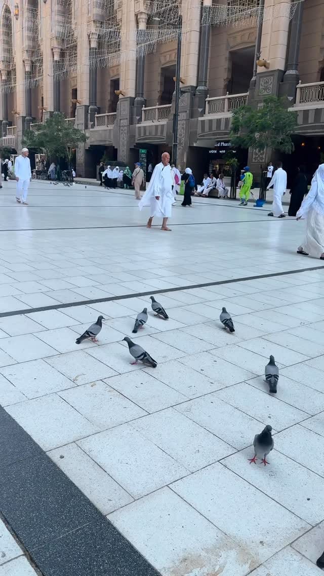 Post 10 by Amaladel on Instagram (video)