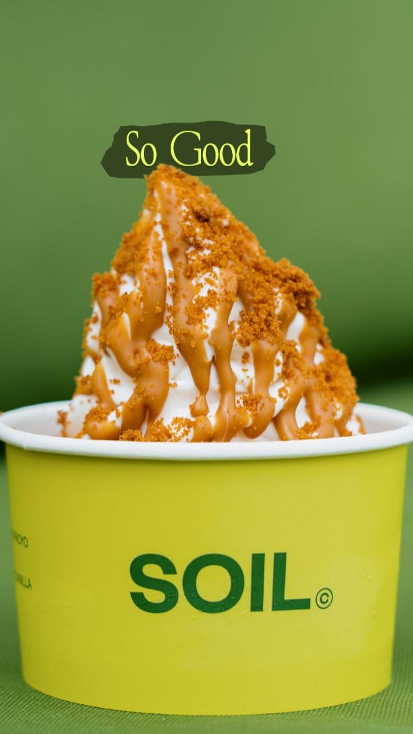 Post 9 by SOIL on Instagram (video)