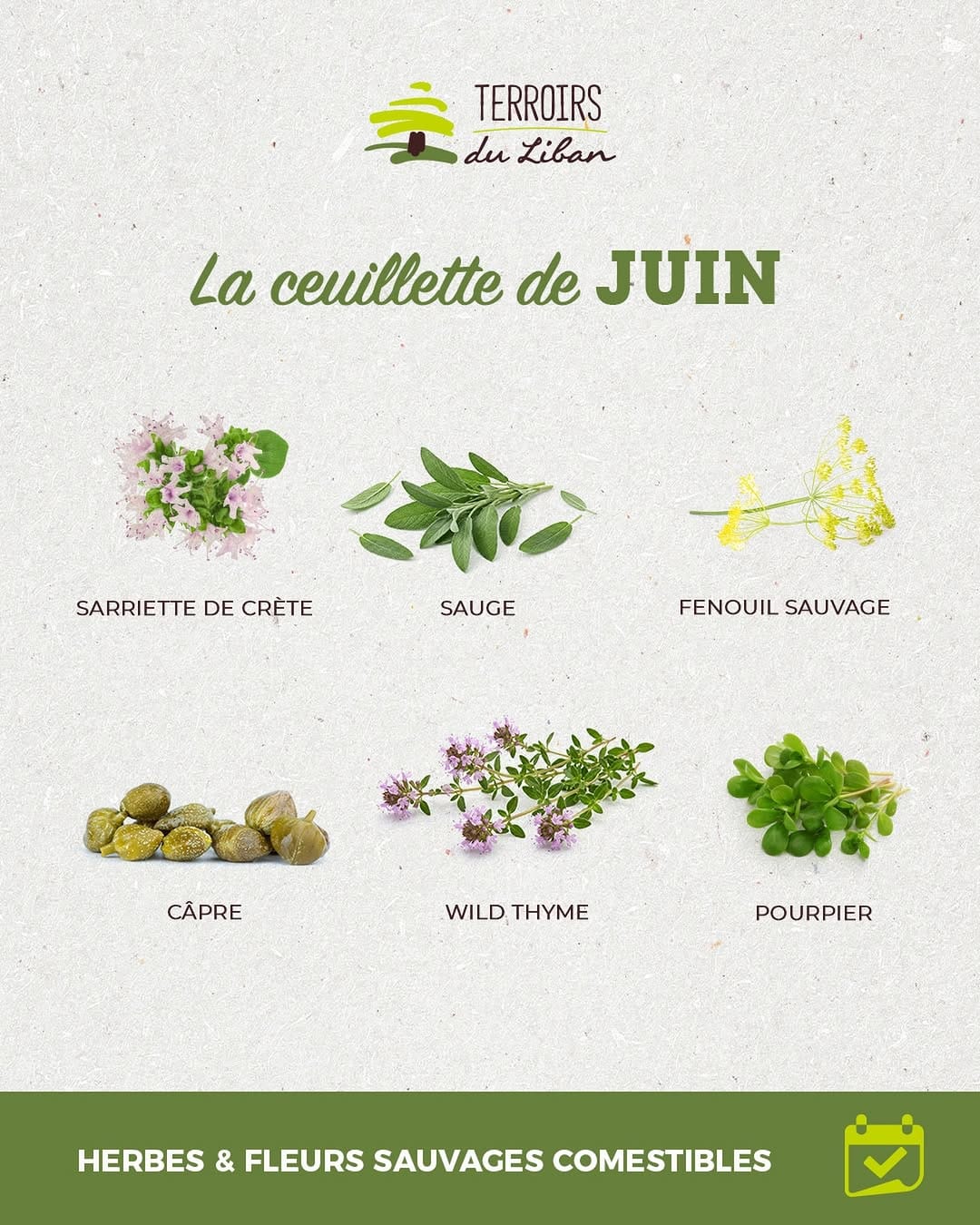 Post 3 by Terroirs du Liban on Instagram (image)