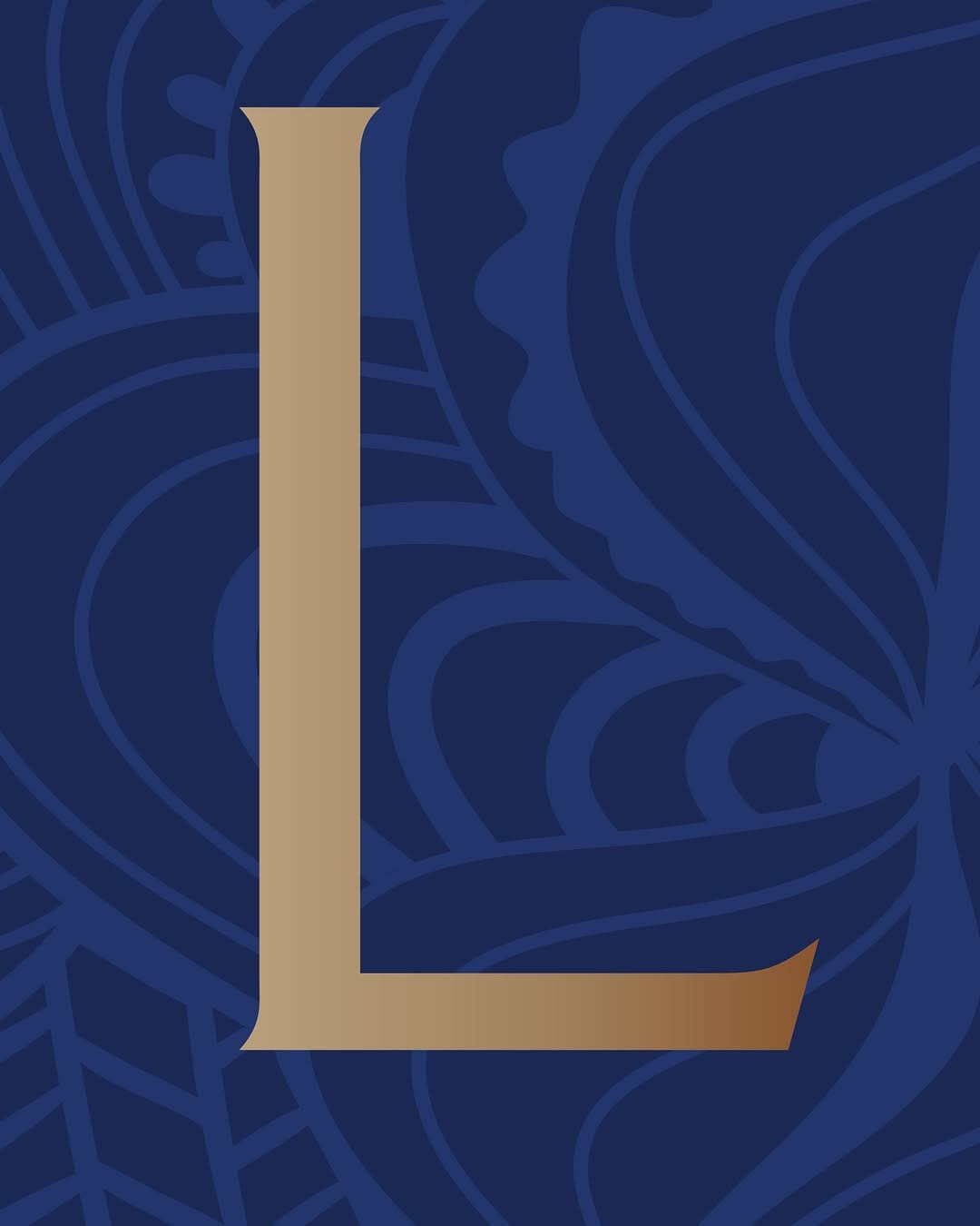 Post 6 by LSL Capital on Instagram (image)