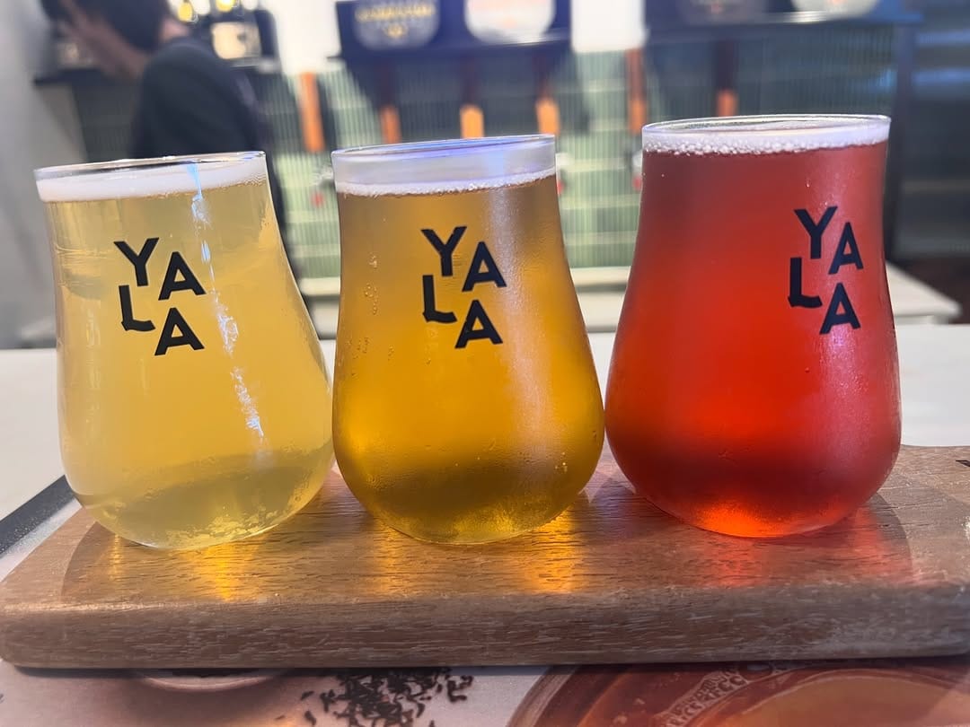 Post 1 by YALA Kombucha on Instagram (carousel)