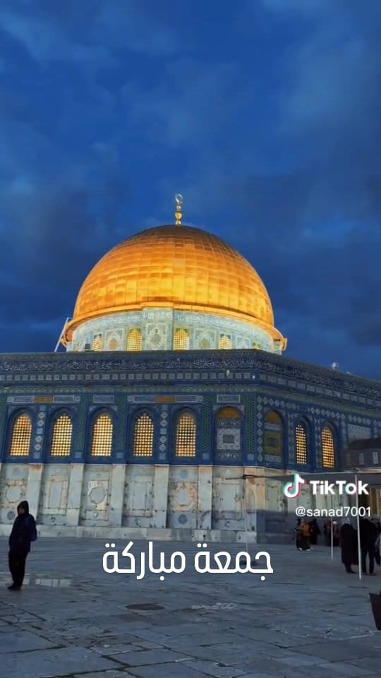 Post 2 by Safa Sartawi on Instagram (video)