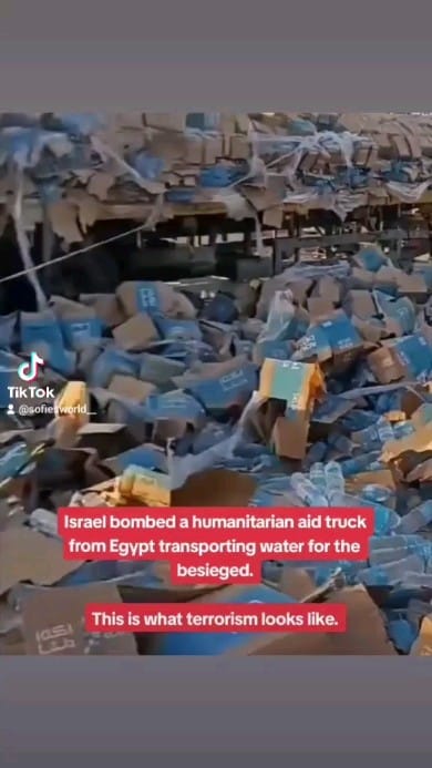Post 6 by Safa Sartawi on Instagram (video)