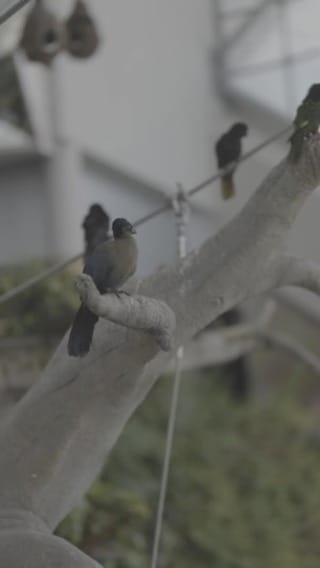 Post 5 by Saeed BinKahail on Instagram (video)