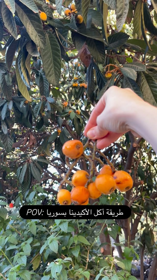 Post 5 by Rawan Abdulal | روان عبدالعال on Instagram (video)