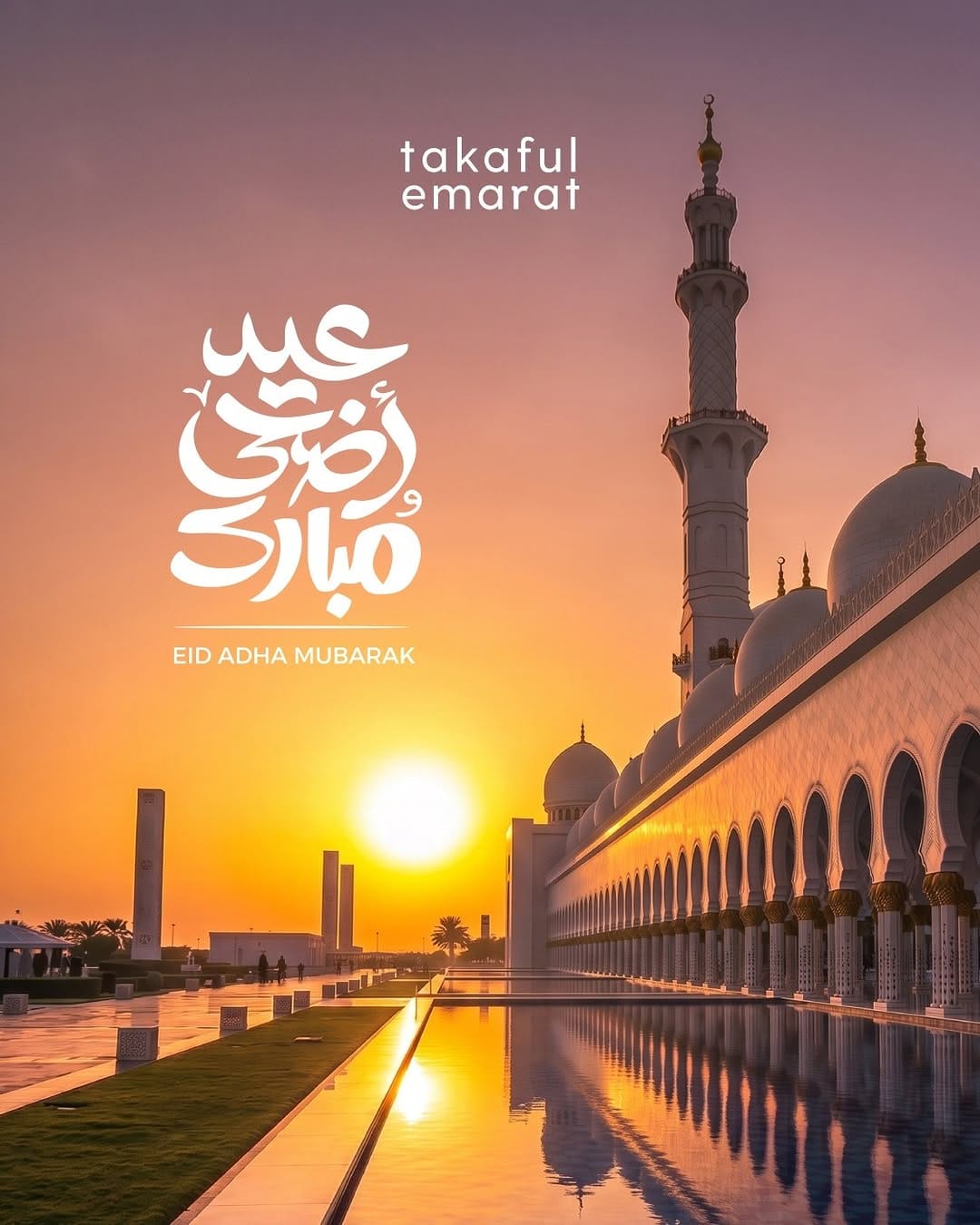 Post 5 by Takaful Emarat on Instagram (image)