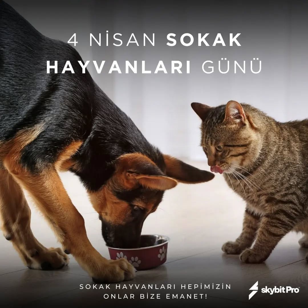 Post 3 by SkybitPro Resmi Hesabı on Instagram (image)