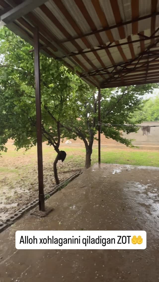 Post 1 by Oybek Guzarov Qarshiyevich on Instagram (video)