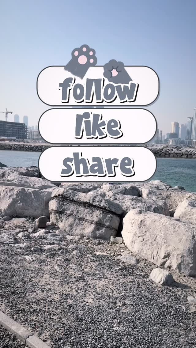 Post 4 by Learn Arabic language | Tutor Nourhan on Instagram (video)