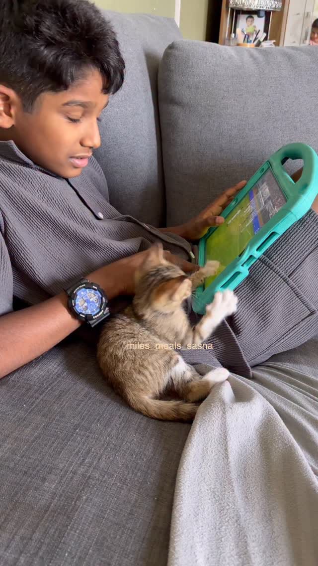 Post 8 by Sasna Madathil on Instagram (video)